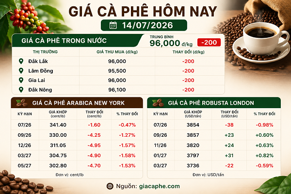 anh2 - 1_1784016530.png
